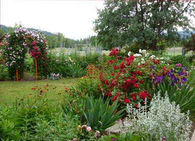 Garden at Natasha's Guesthouse